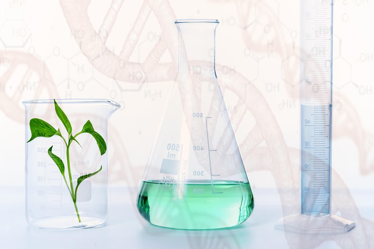 Lab Dip & Trial Service
